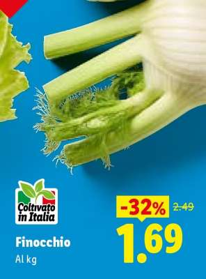 Finocchio