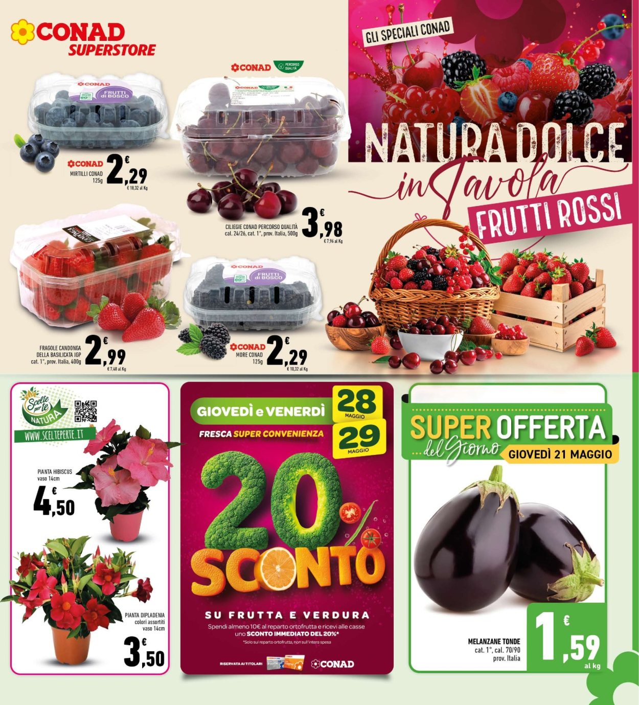 Volantino Conad Superstore - 20/5/2026 - 31/5/2026. Pagina 5