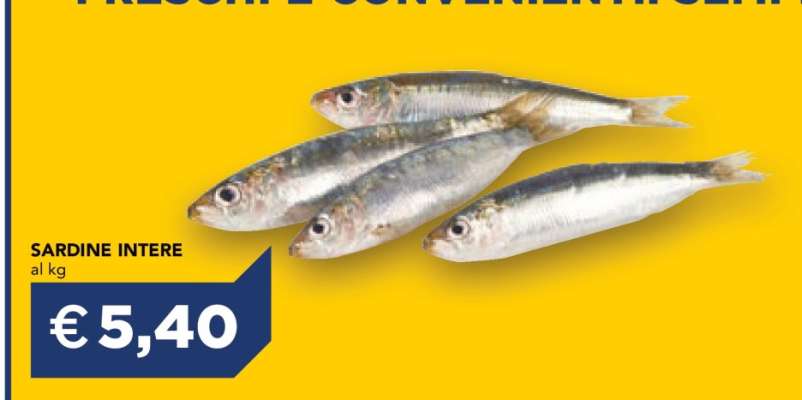 SARDINE INTERE