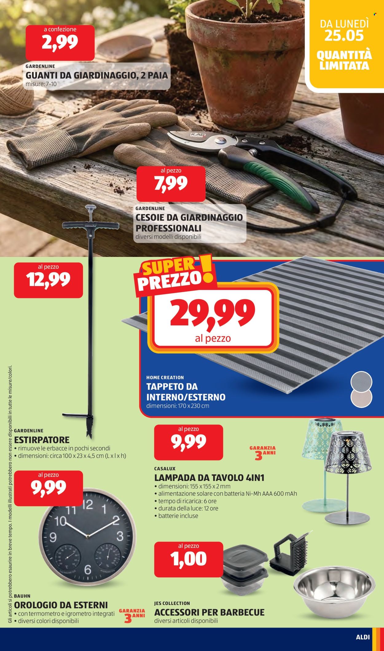 Volantino Aldi - 25/5/2026 - 31/5/2026. Pagina 29