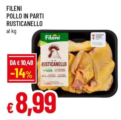 FILENI POLLO IN PARTI RUSTICANELLO
