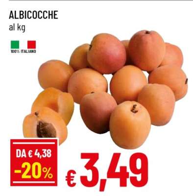 Albicocche