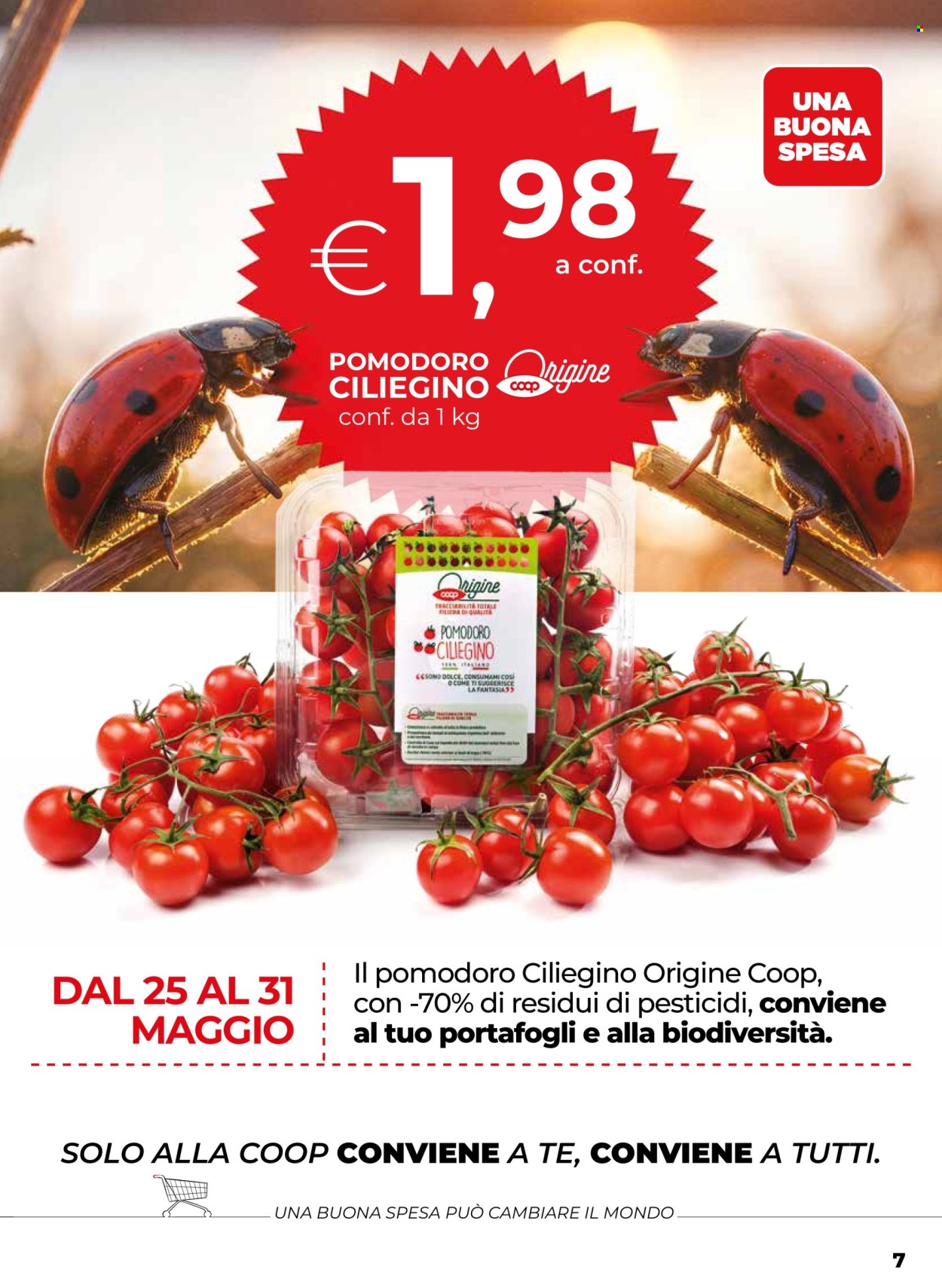 Volantino Coop - 21/5/2026 - 3/6/2026. Pagina 7