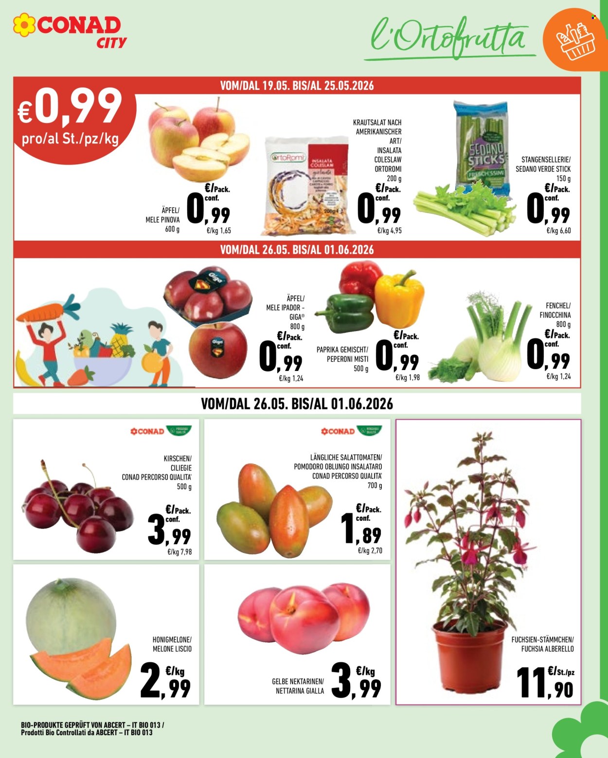 Volantino Conad City - 19/5/2026 - 1/6/2026. Pagina 7