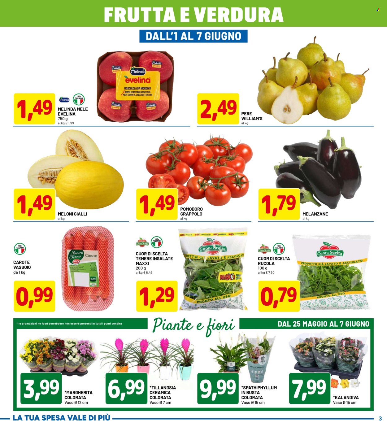 Volantino Dpiù - 25/5/2026 - 7/6/2026. Pagina 3