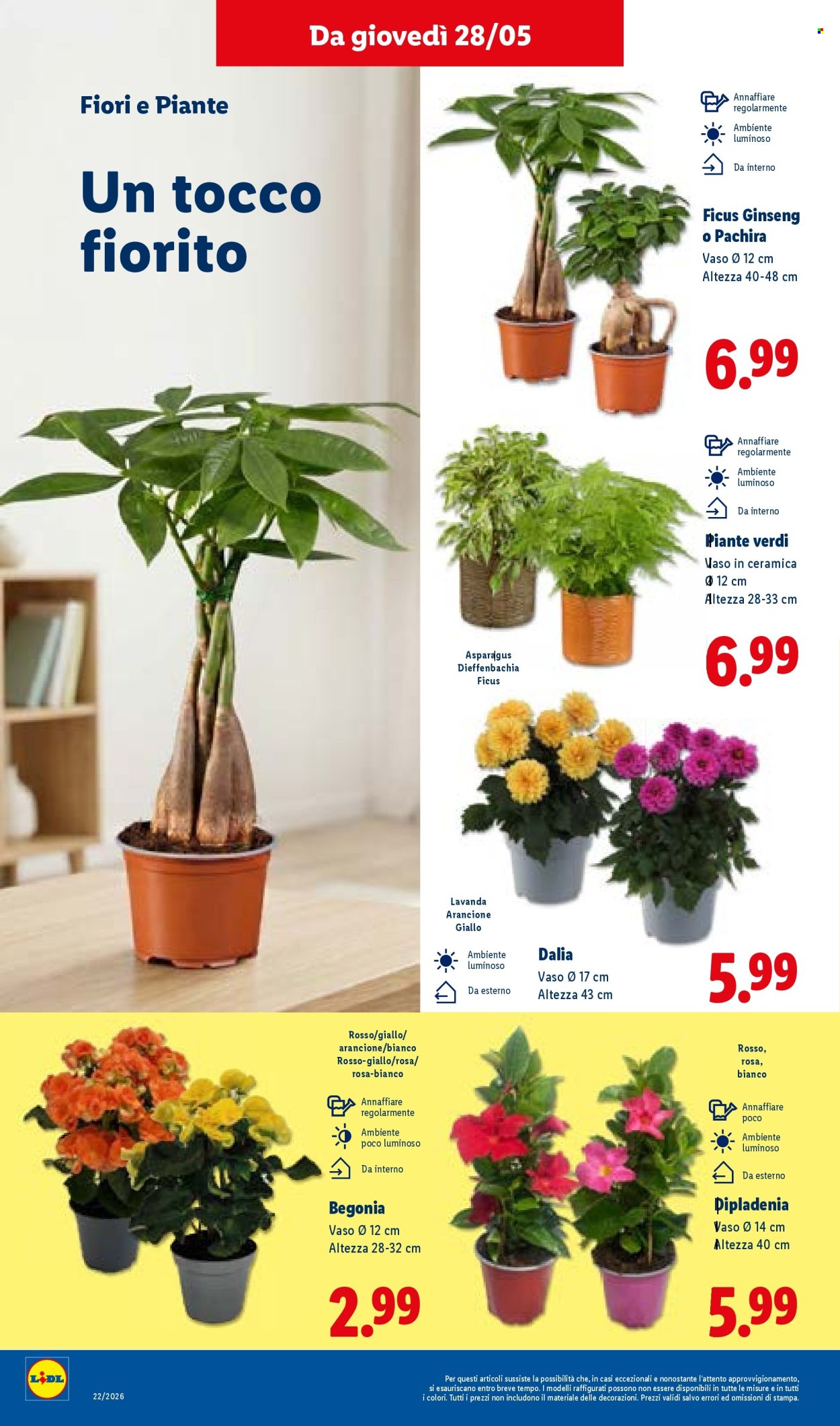 Volantino Lidl - 28/5/2026 - 3/6/2026. Pagina 34