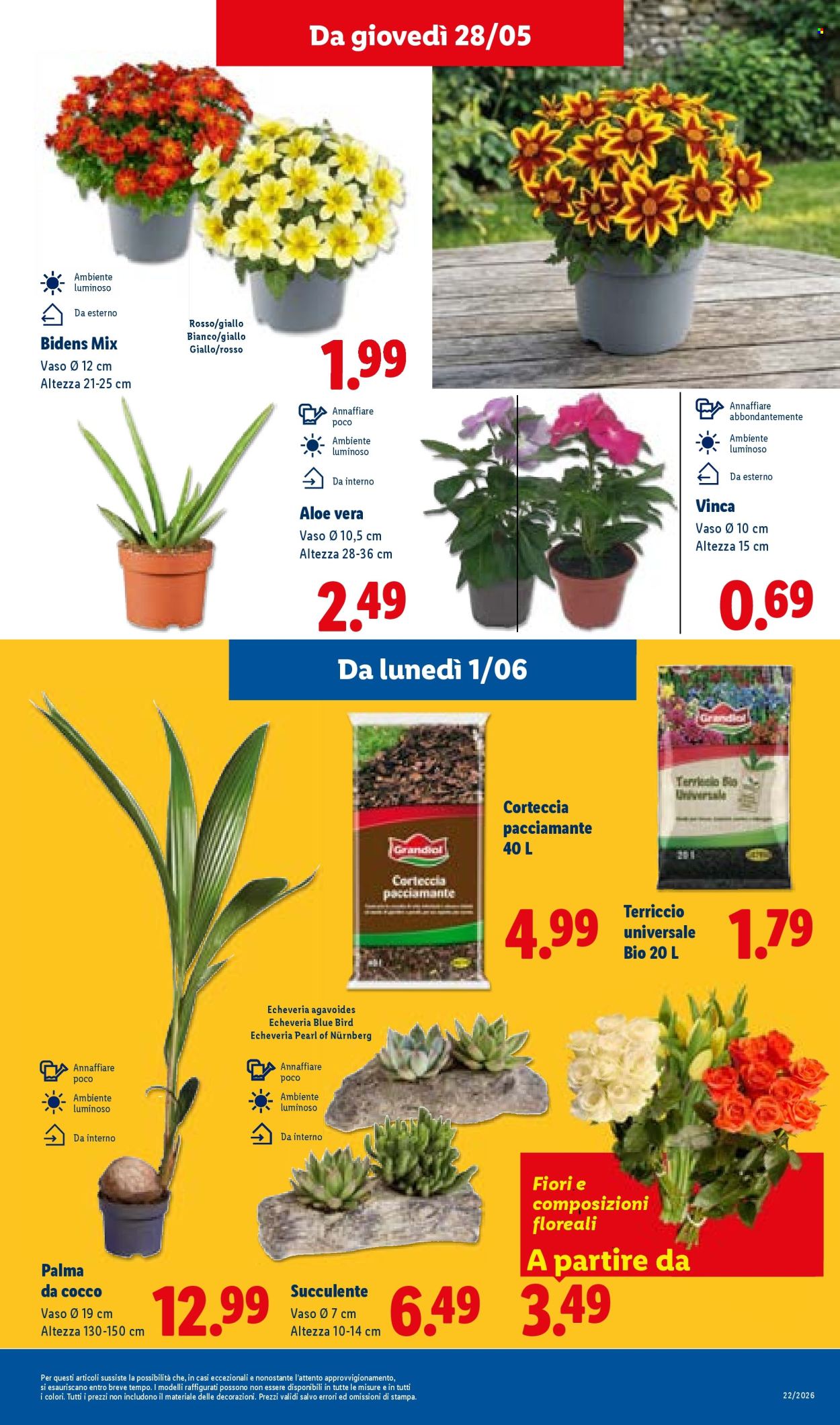 Volantino Lidl - 28/5/2026 - 3/6/2026. Pagina 35