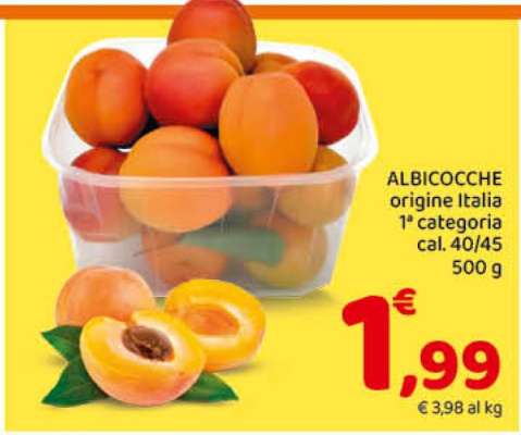 Albicocche