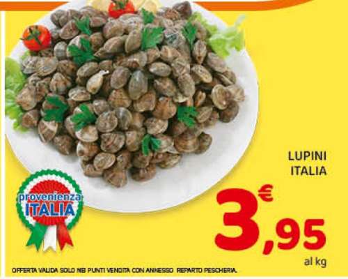 Lupini