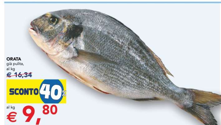 Orata