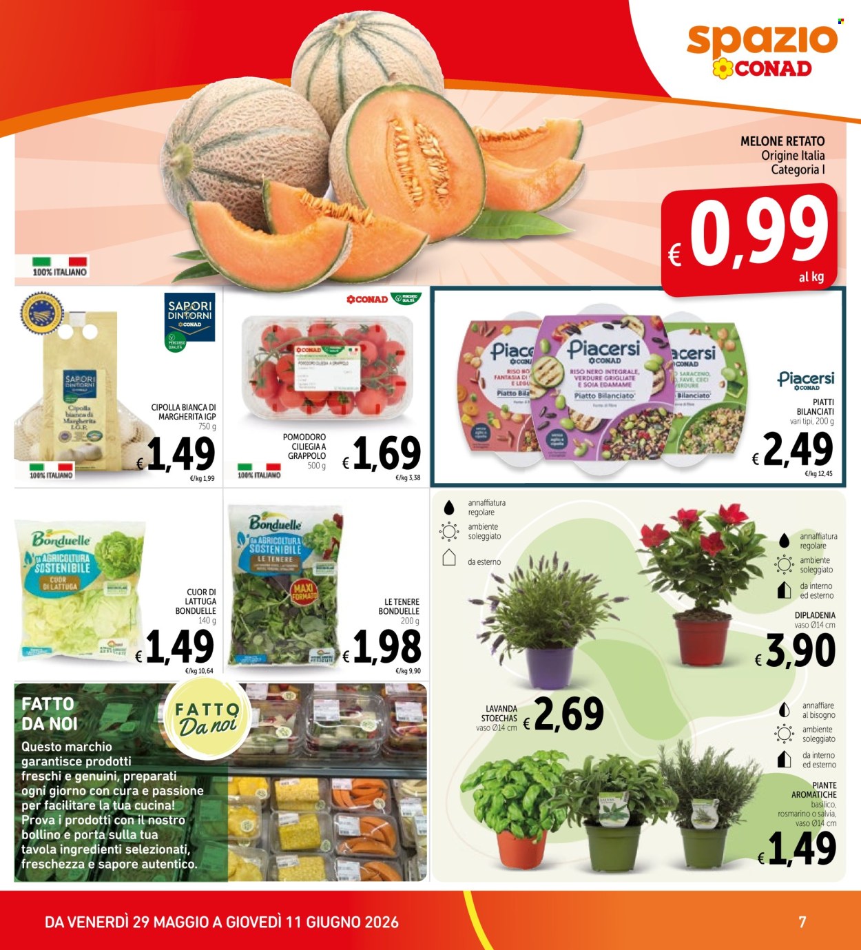 Leták Conad - 29.5.2026 - 11.6.2026. Strana 7