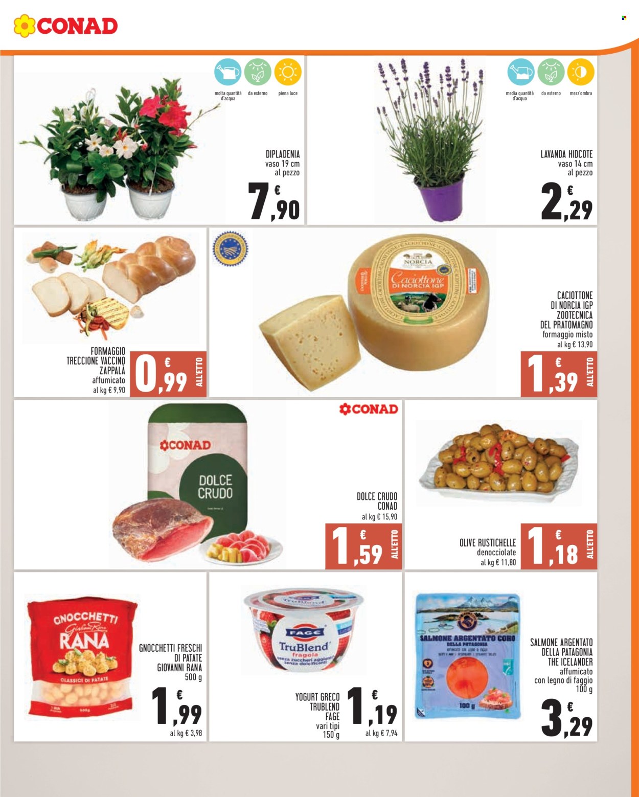 Volantino Conad - 27/5/2026 - 2/6/2026. Pagina 3