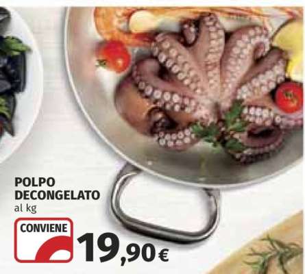 Polpo Decongelato