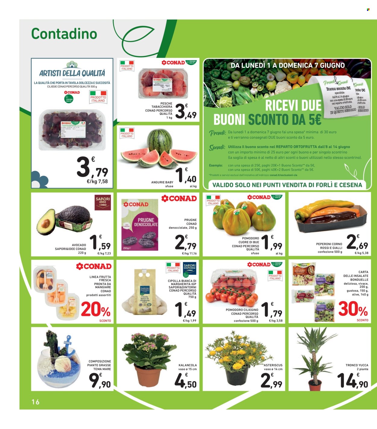Leták Spazio Conad - 29.5.2026 - 11.6.2026. Strana 16