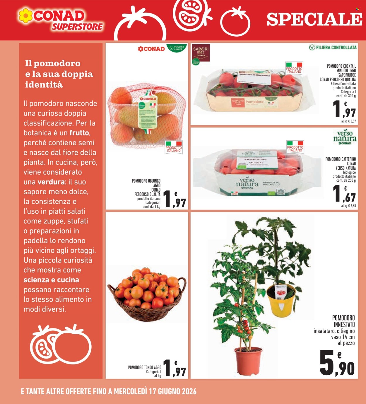 Volantino Conad - 4/6/2026 - 13/6/2026. Pagina 16