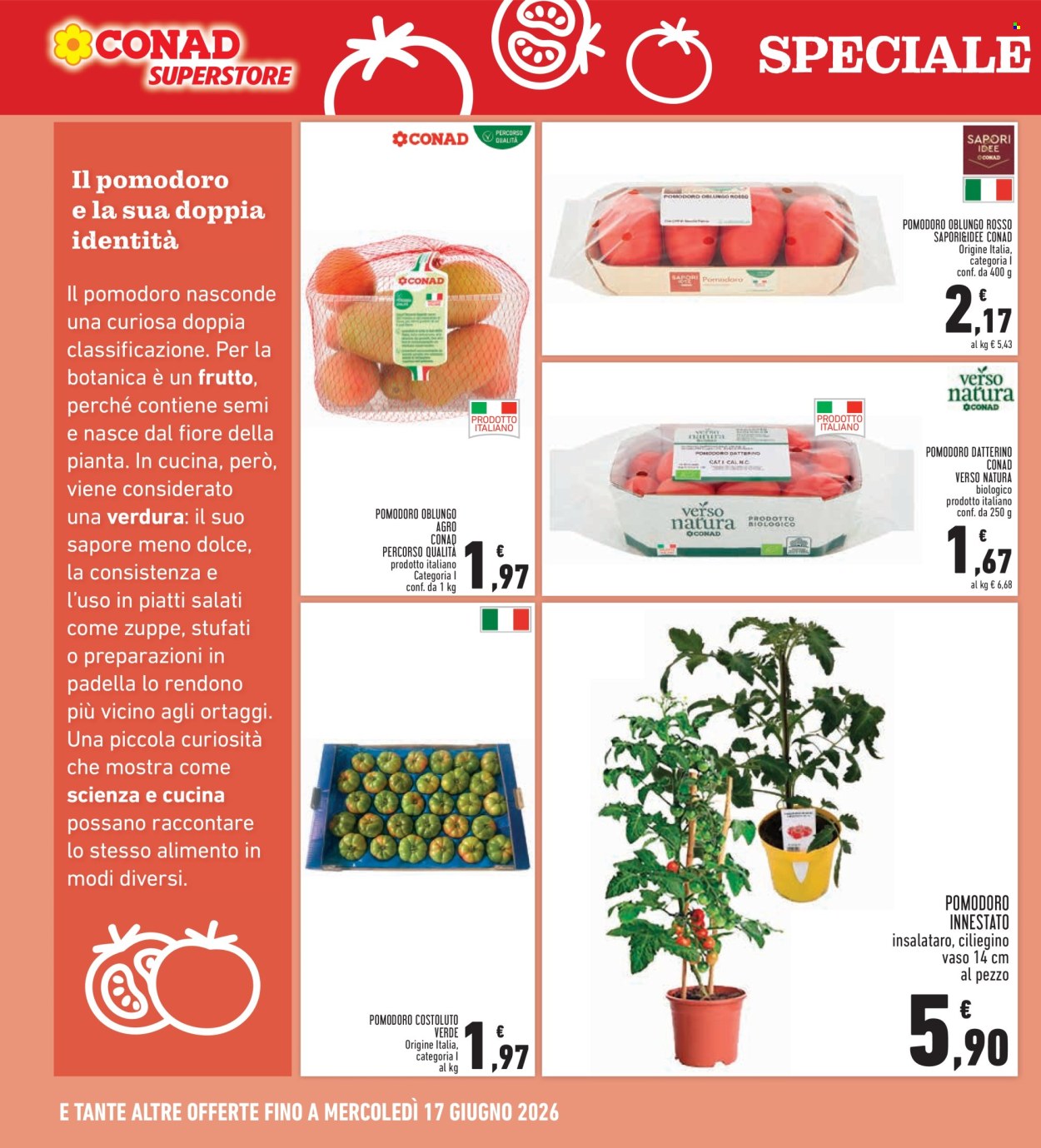 Leták Conad Superstore - 4.6.2026 - 13.6.2026. Strana 16