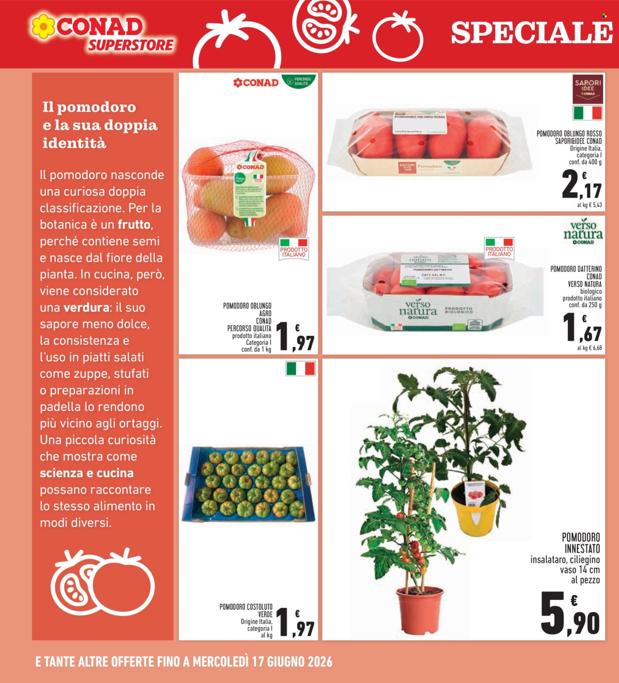 Leták Conad - 4.6.2026 - 13.6.2026. Strana 16
