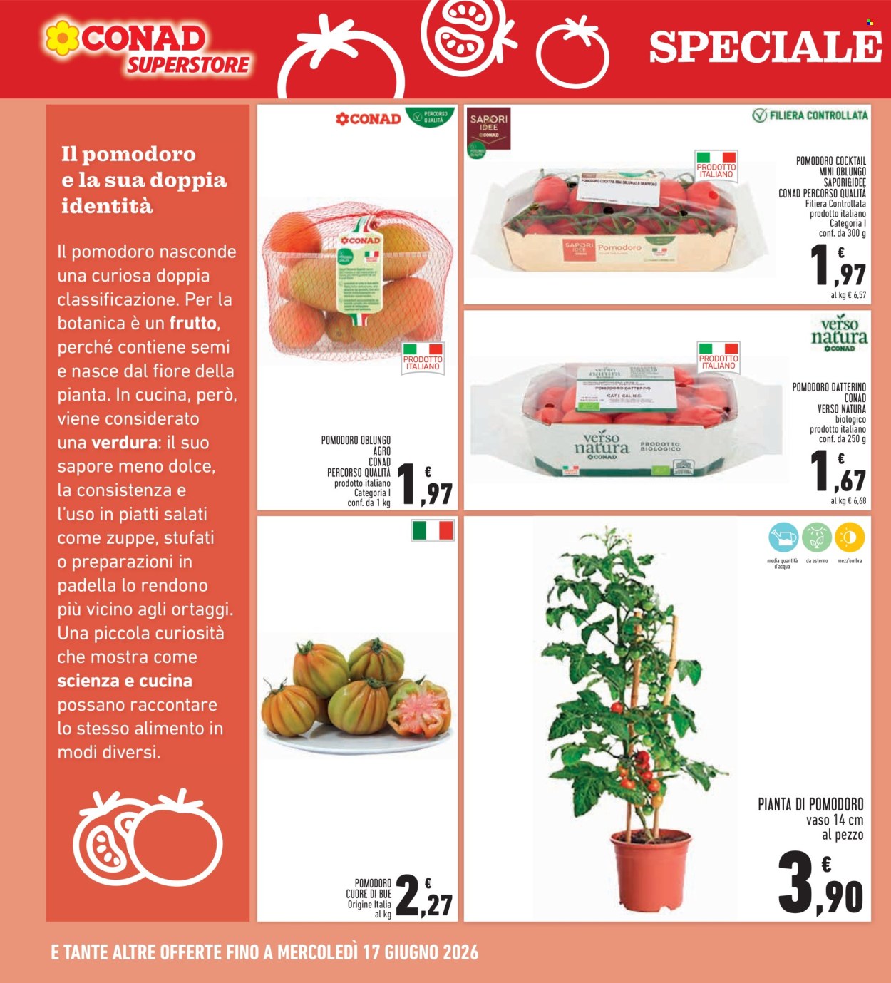Leták Conad - 4.6.2026 - 13.6.2026. Strana 16