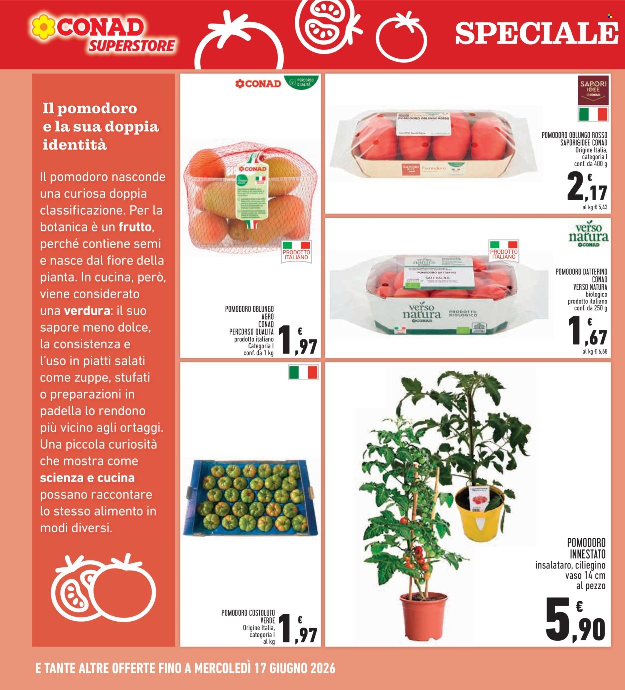 Leták Conad Superstore - 4.6.2026 - 13.6.2026. Strana 16