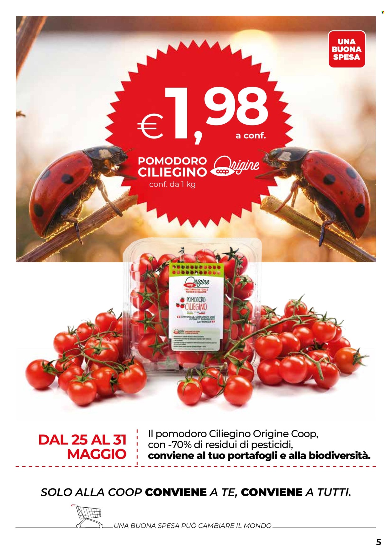 Volantino Coop - 28/5/2026 - 10/6/2026. Pagina 5
