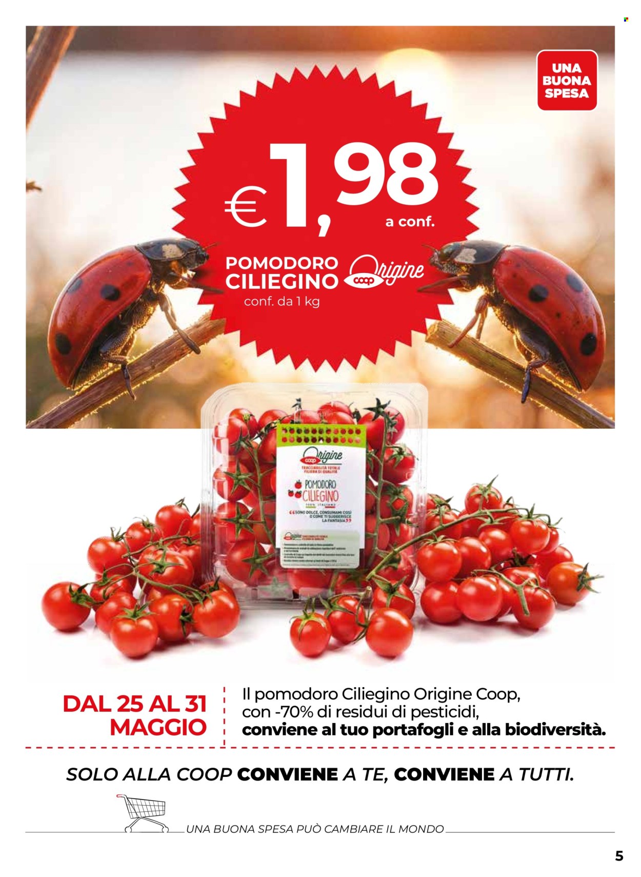 Volantino Coop - 28/5/2026 - 10/6/2026. Pagina 5