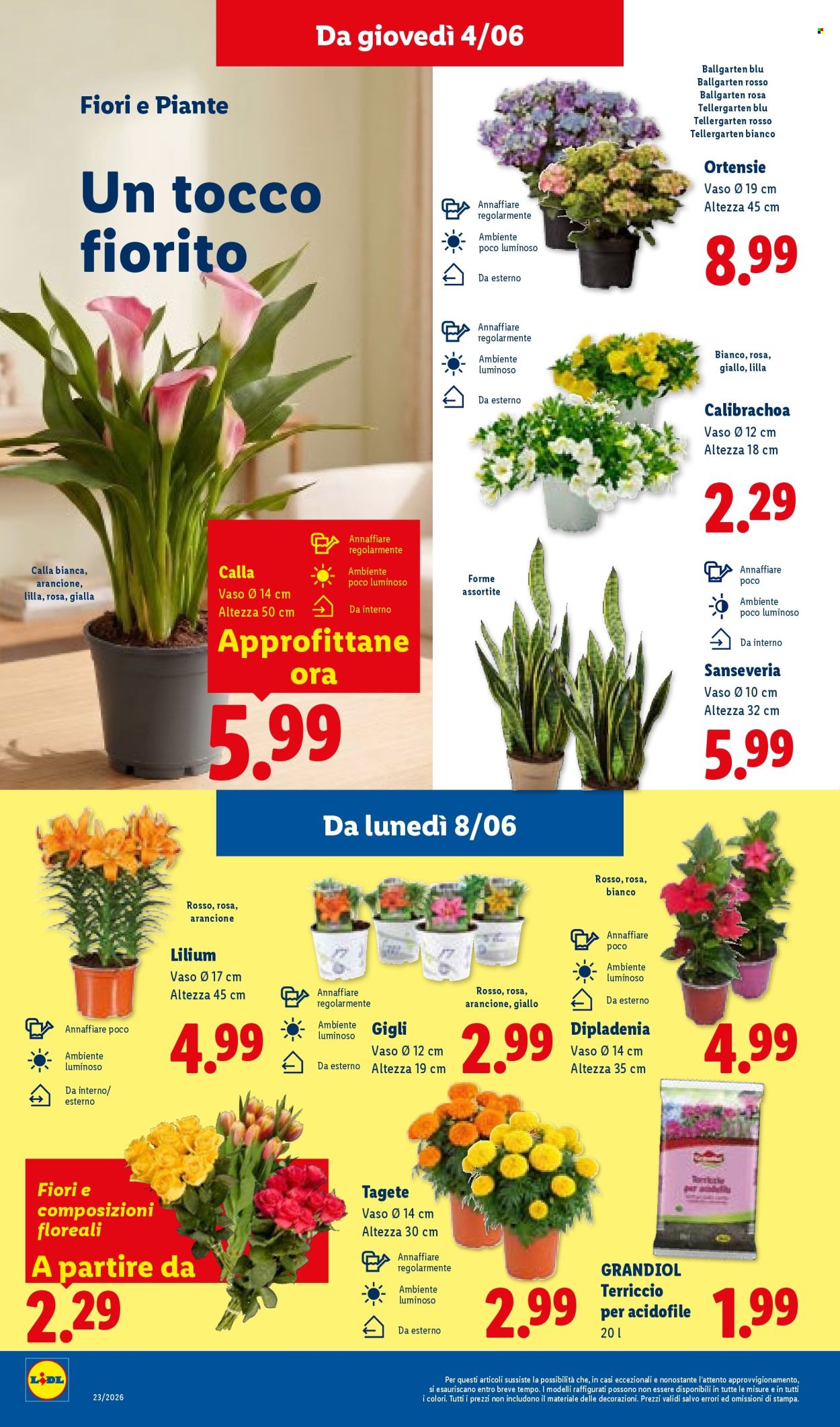 Volantino Lidl - 4/6/2026 - 10/6/2026. Pagina 32