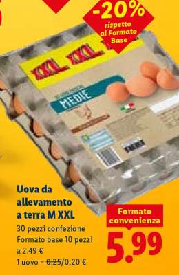 Uova da allevamento a terra M XXL