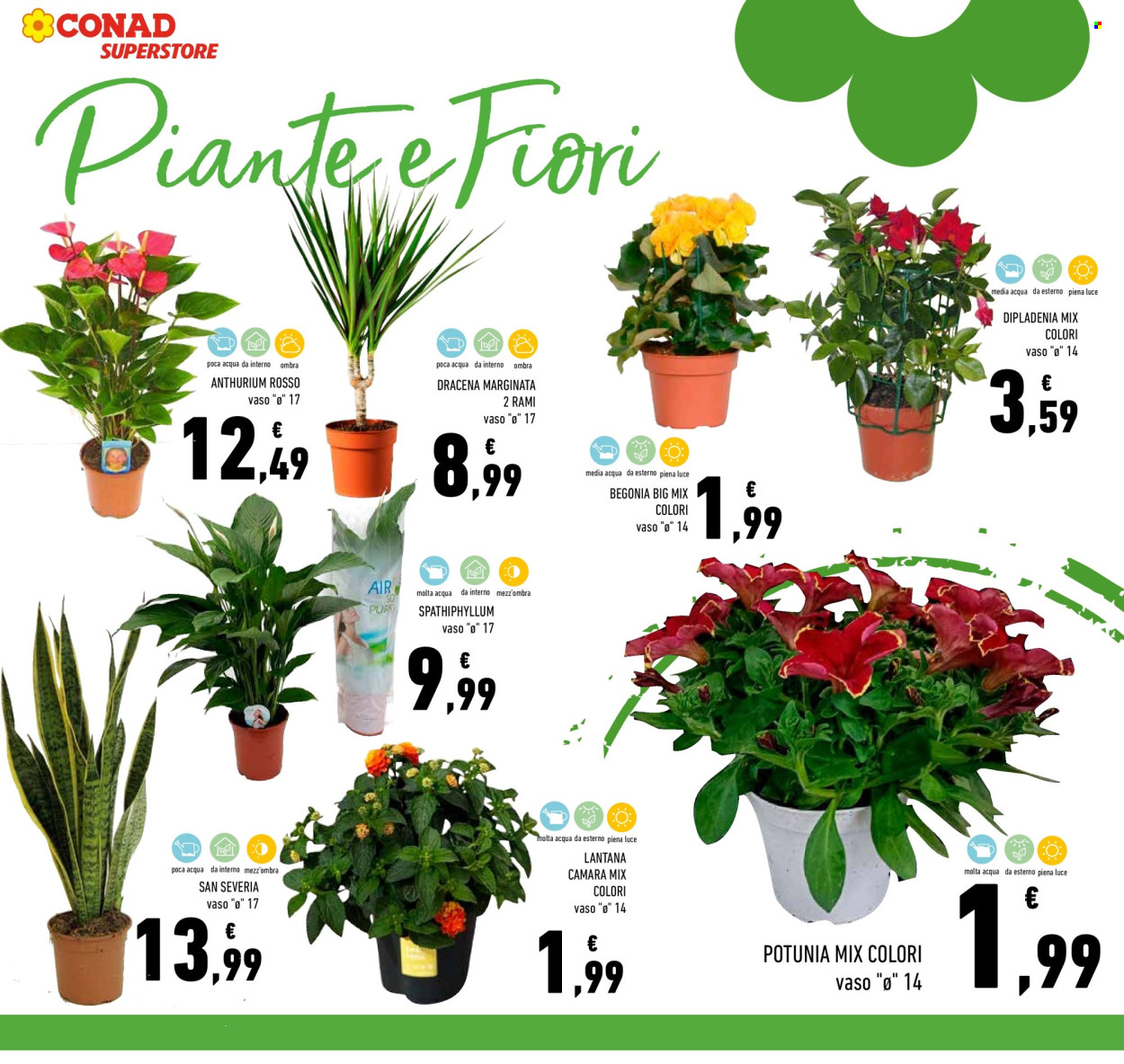 Leták Conad Superstore - 3.6.2026 - 10.6.2026. Strana 5