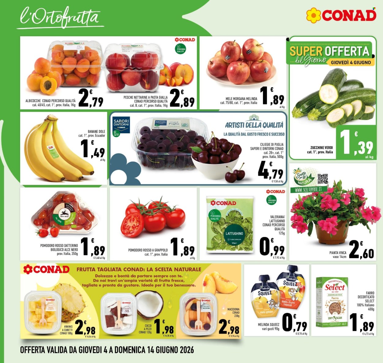 Volantino Conad - 4/6/2026 - 13/6/2026. Pagina 6