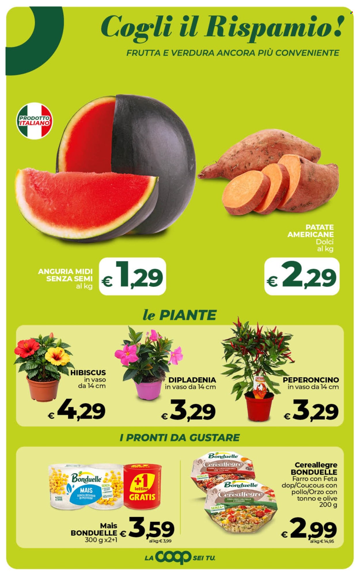 Volantino Coop - 29/5/2026 - 8/6/2026. Pagina 24