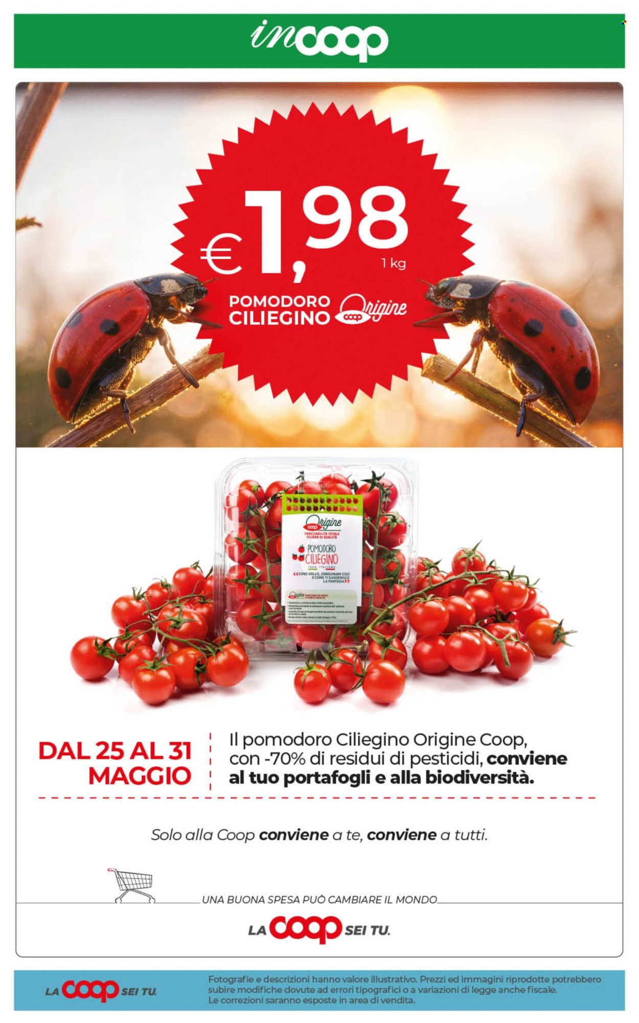 Volantino Coop - 29/5/2026 - 8/6/2026. Pagina 21