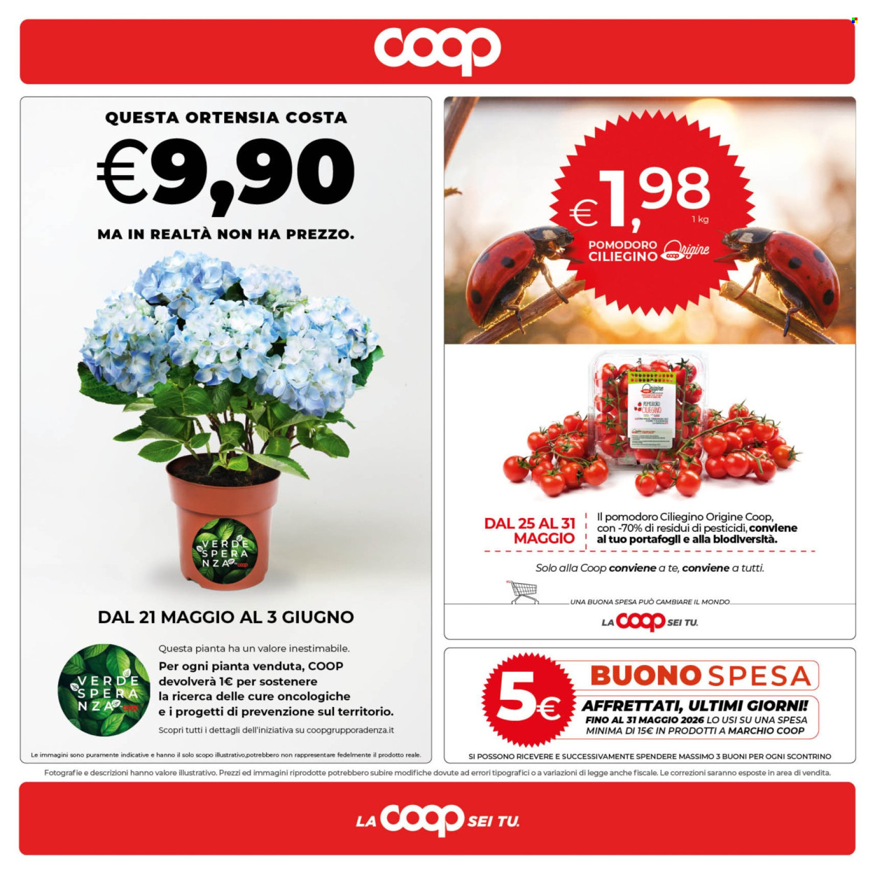 Volantino Coop - 29/5/2026 - 8/6/2026. Pagina 24
