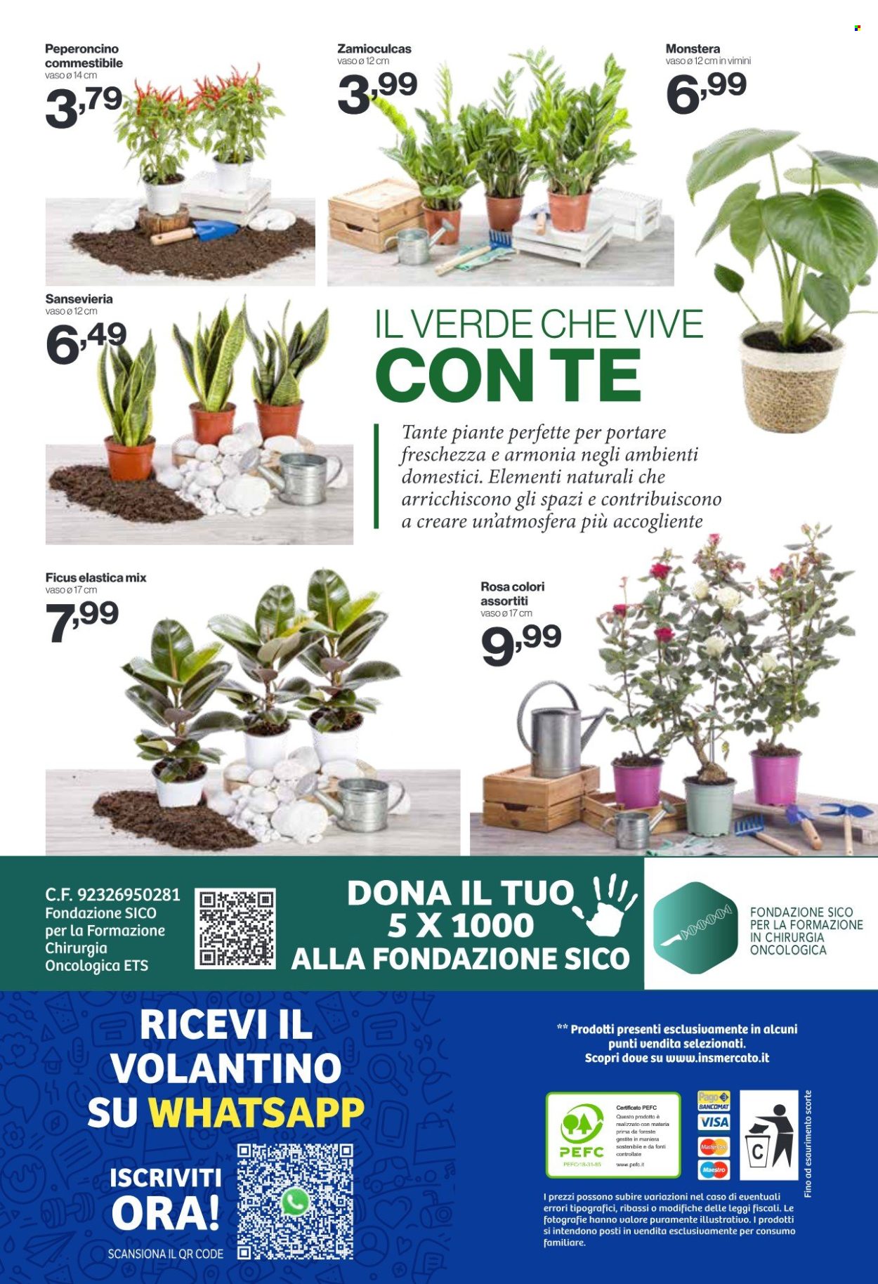 Volantino iN's Mercato - 3/6/2026 - 14/6/2026. Pagina 24