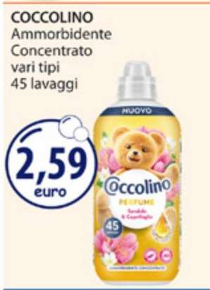 COCCOLINO
