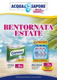 leaflet