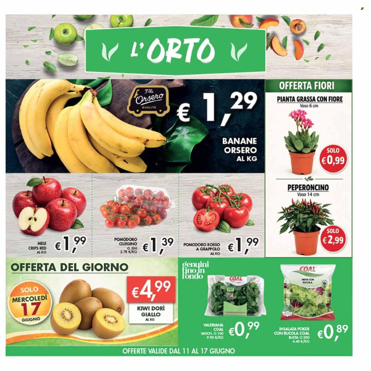 Volantino COAL - 4/6/2026 - 17/6/2026. Pagina 5