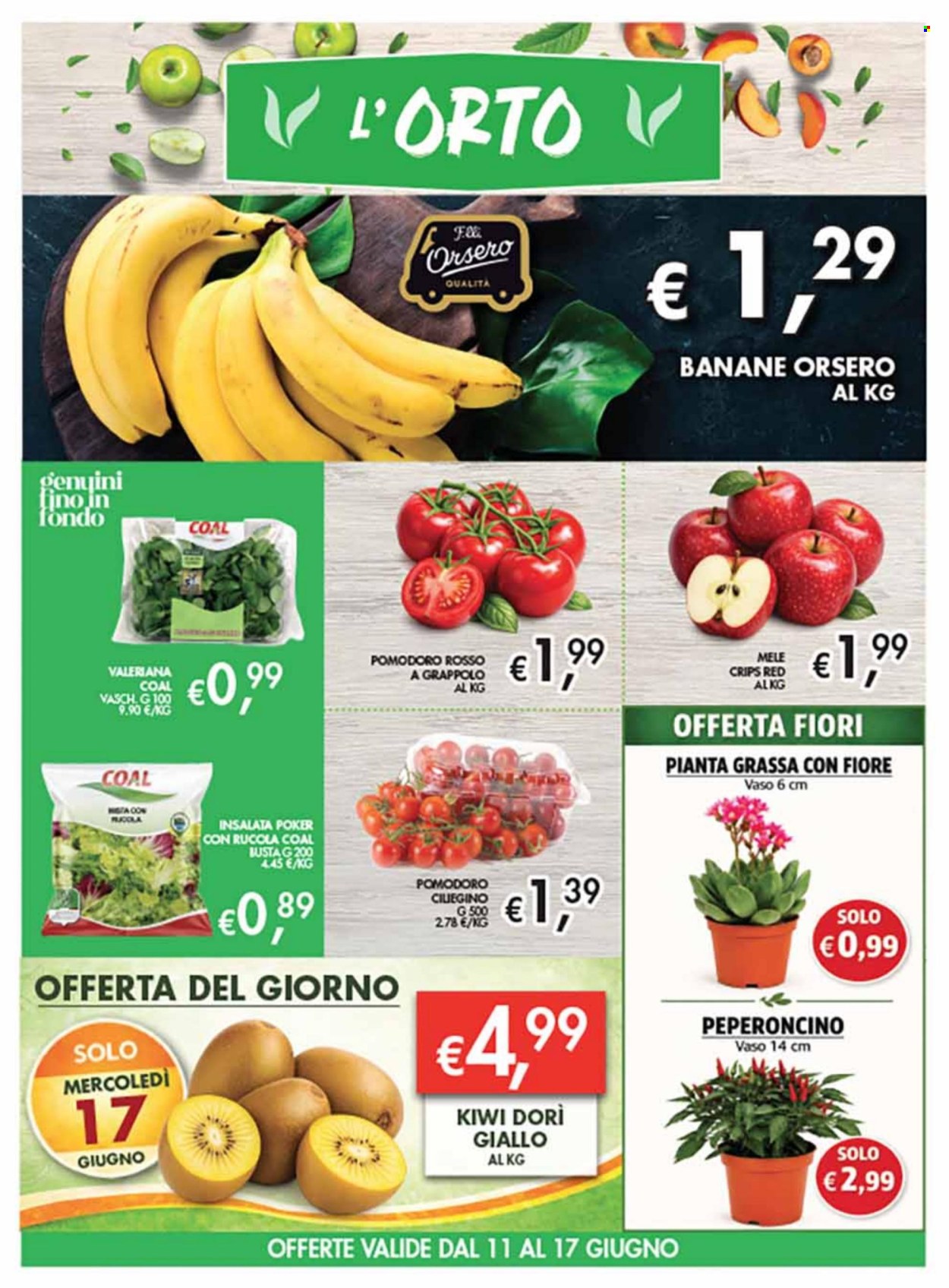 Volantino COAL - 4/6/2026 - 17/6/2026. Pagina 5