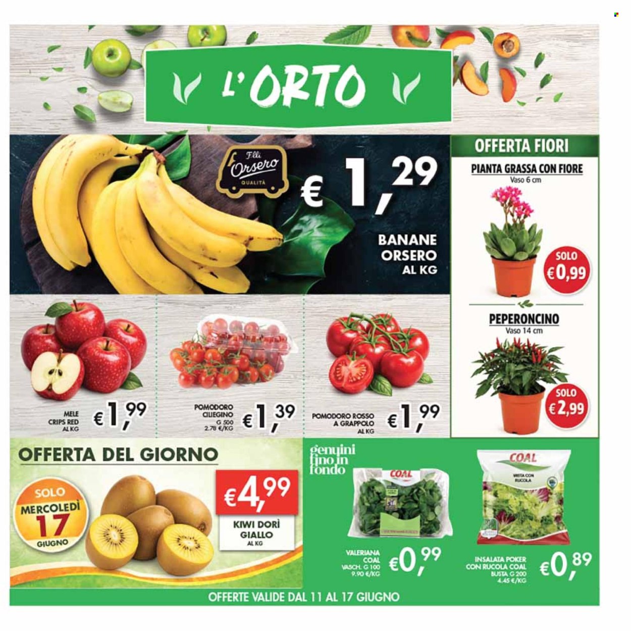 Volantino COAL - 4/6/2026 - 17/6/2026. Pagina 5