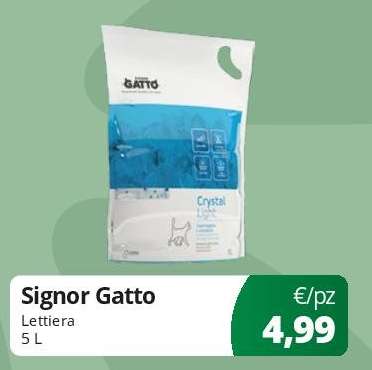 Signor Gatto