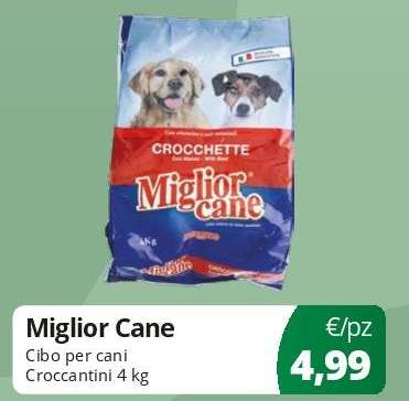Miglior Cane