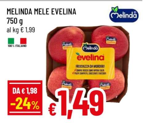 MELINDA MELE EVELINA