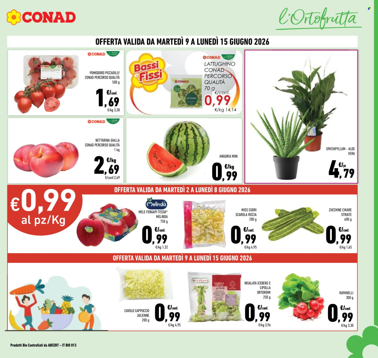 Leták Conad - 2.6.2026 - 15.6.2026. Strana 7