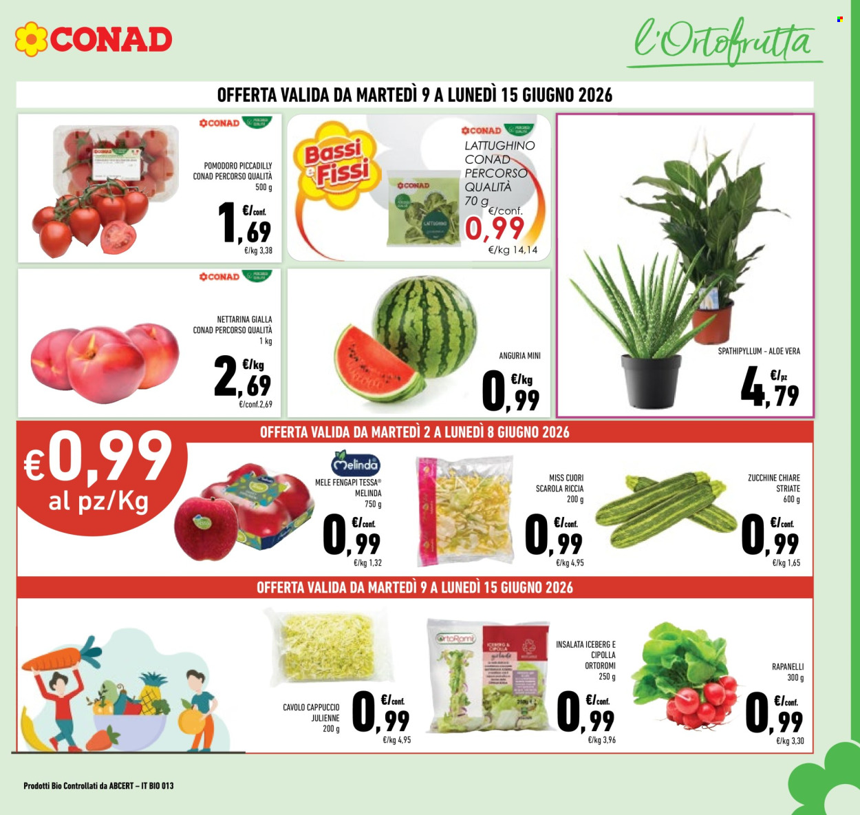 Volantino Conad - 2/6/2026 - 15/6/2026. Pagina 7