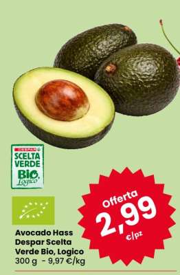 Avocado Hass