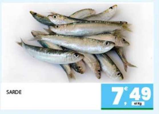 Sarde