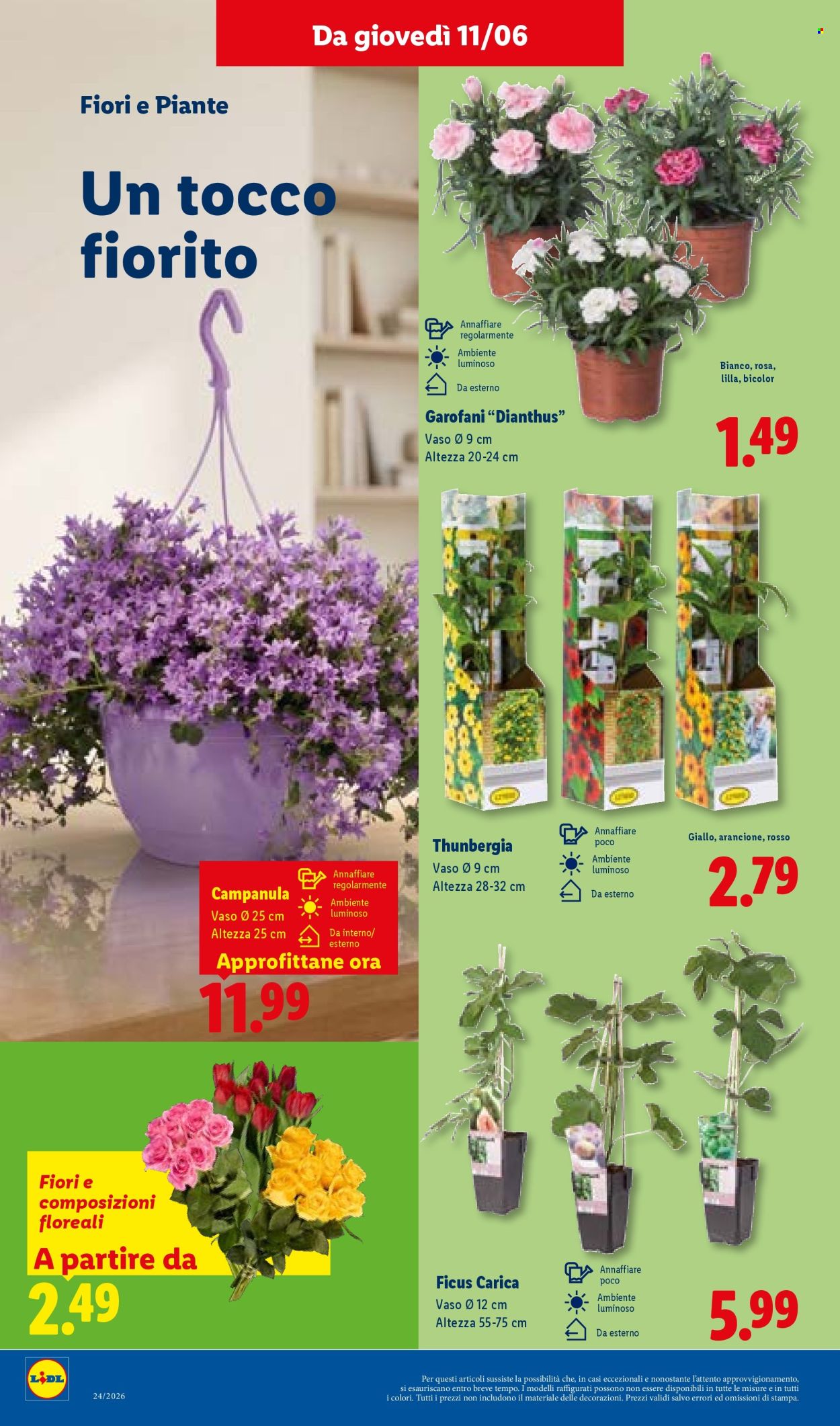 Leták Lidl - 11.6.2026 - 17.6.2026. Strana 42