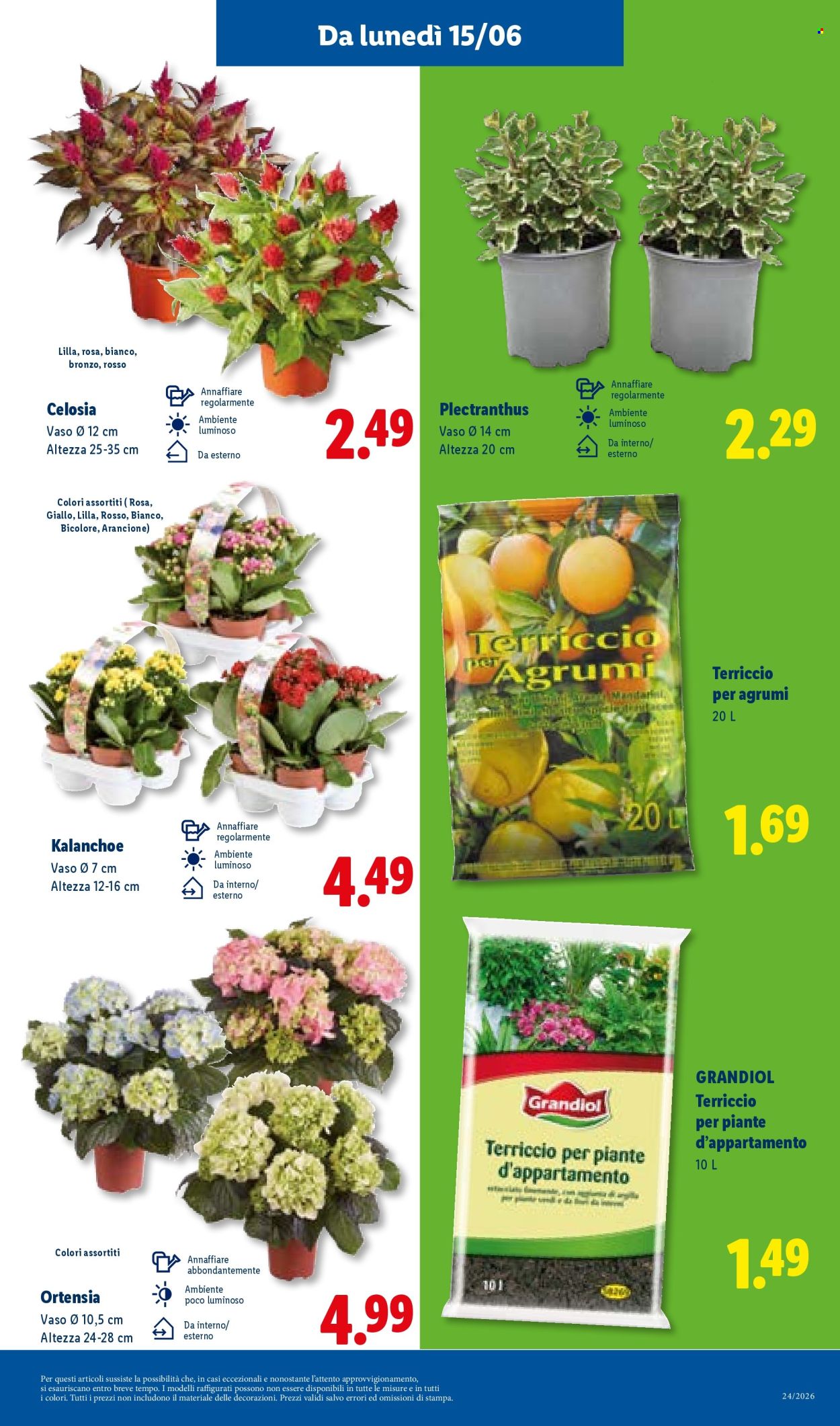 Leták Lidl - 11.6.2026 - 17.6.2026. Strana 43