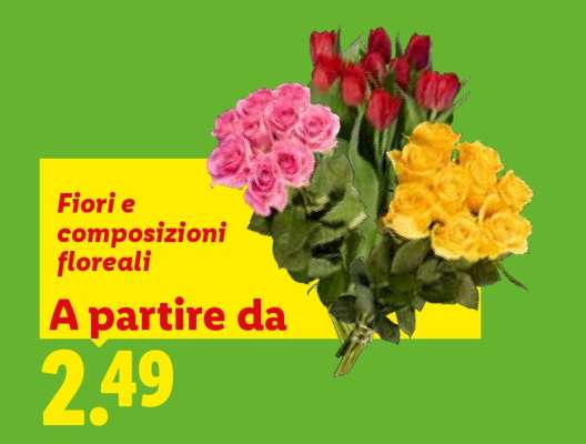 Fiori e composizioni floreali