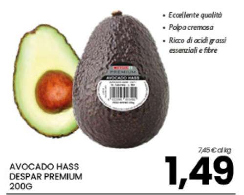 Avocado Hass