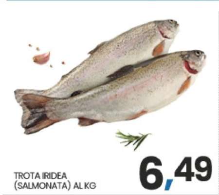 TROTA IRIDEA
